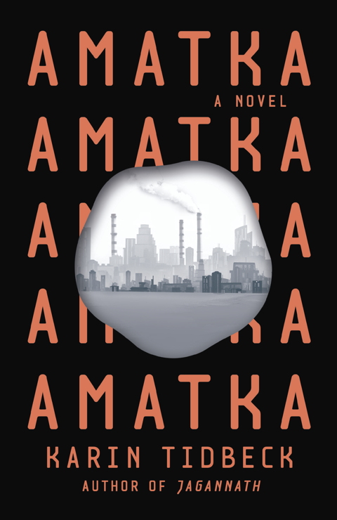 Cover for Amatka