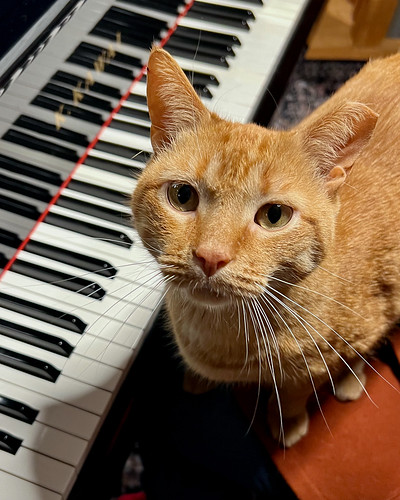 Walter interrupts piano playing