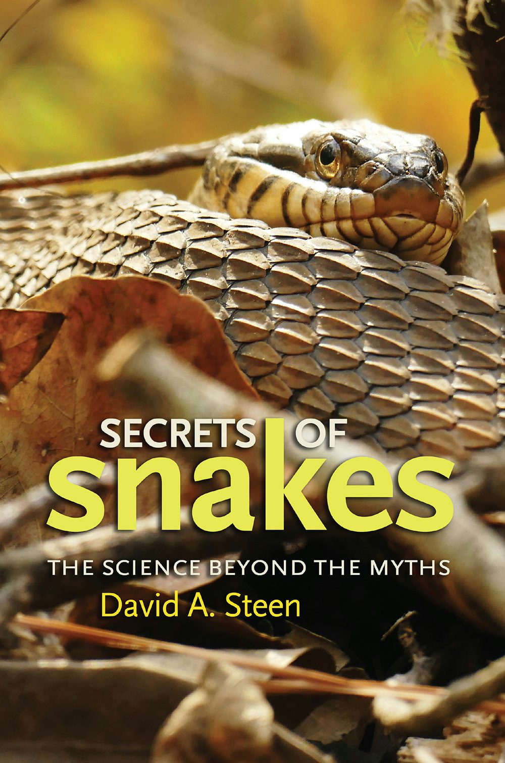 Secrets of Snakes cover